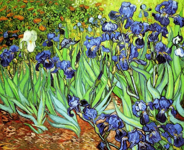 Irises II- Blommig väggkonsttryck dekoration för vardagsrummet